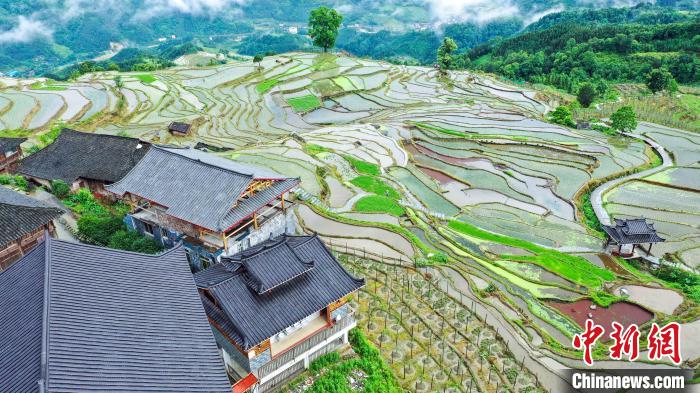 6月4日，在广西龙胜各族自治县泗水乡泗水村小岩底屯拍摄的村寨景色。　吴生斌 摄